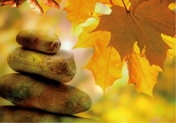 Startzondag 27 augustus om 11.00 uur